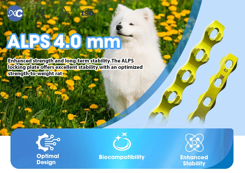 Veterinary Orthopedic Surgery Bone Implants