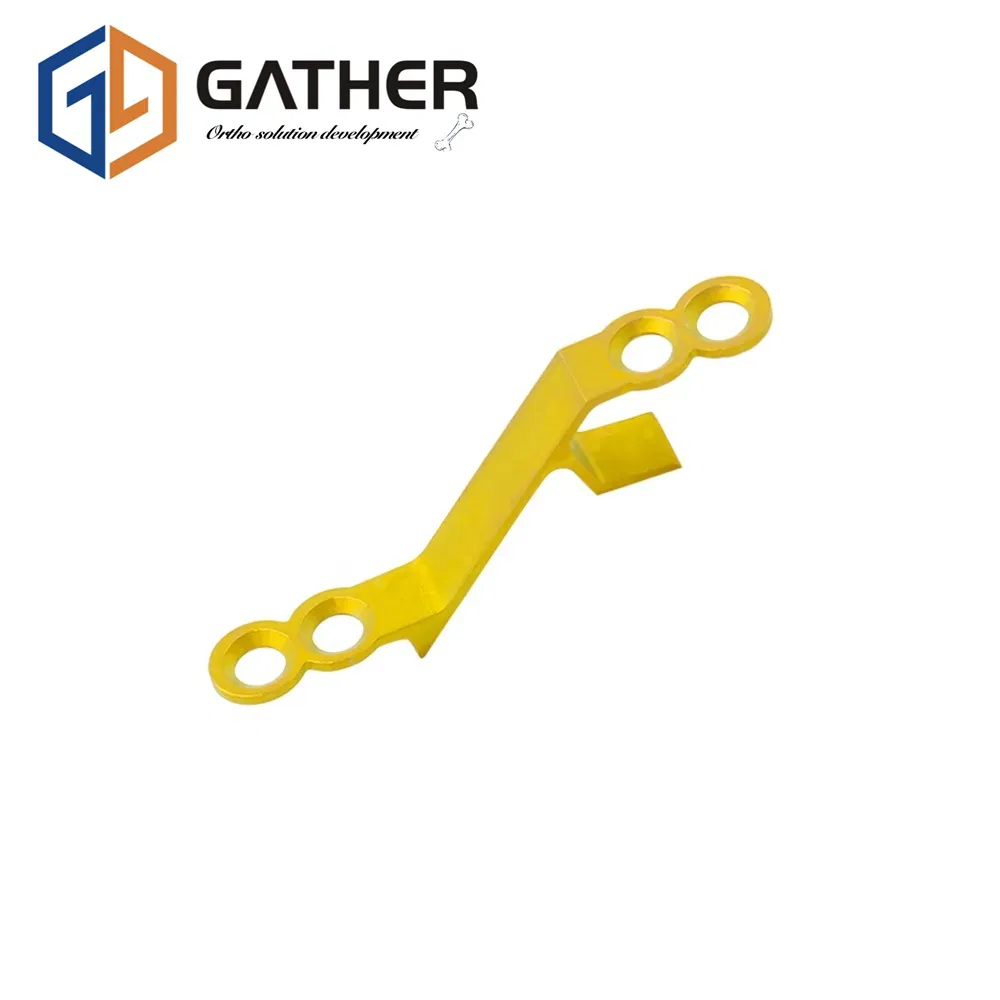 Wide-Neck Plate Bone Implant Spinal Rod System Titanium