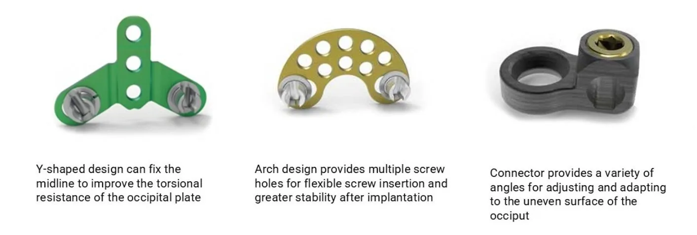 Spinal System Component 1