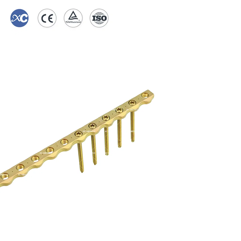 Veterinary Ao Orthopedic Reconstruction Locking Plate Implants for Fracture Fixation