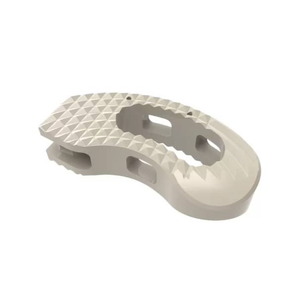 Kidney-Shaped Interbody Fusion Cage for Lumbar Spine