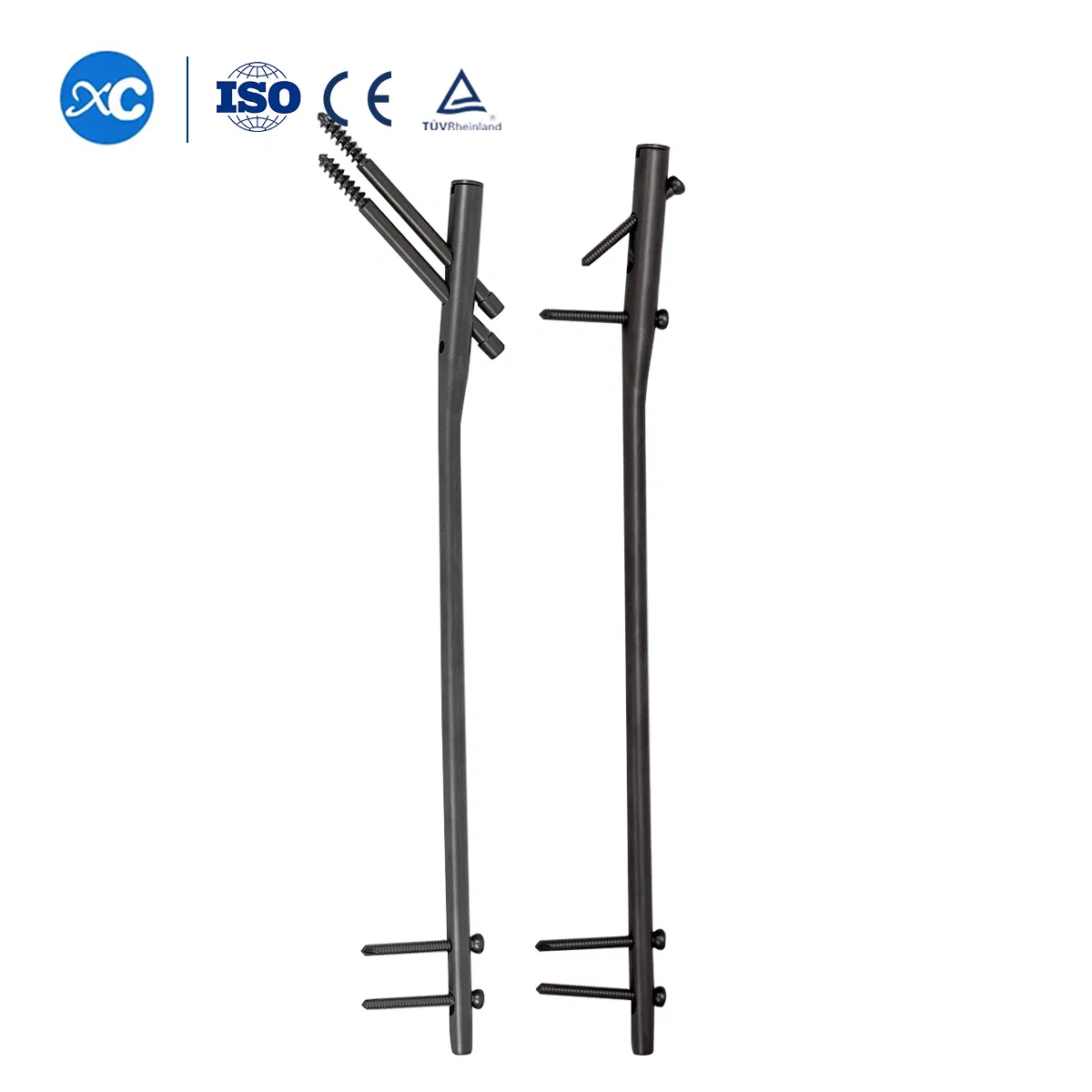 Femur Bone Femoral Reconstruction System Orthopedic Implants Implants