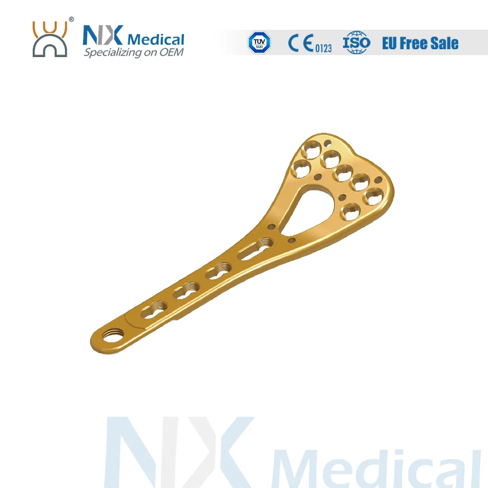 Variable Angle LCP Radius Fragment Fragment Plate System for Trauma Fixation