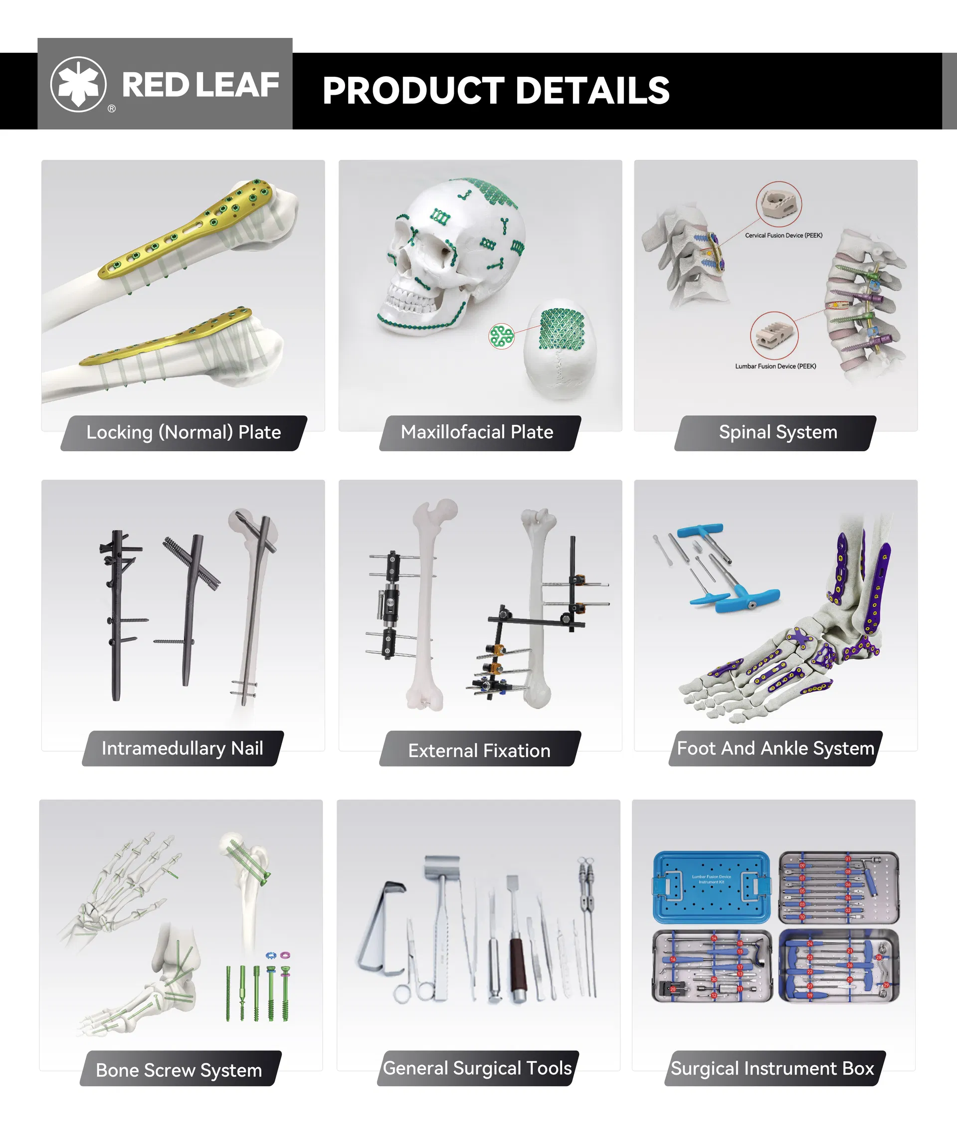 Specification Detail 1