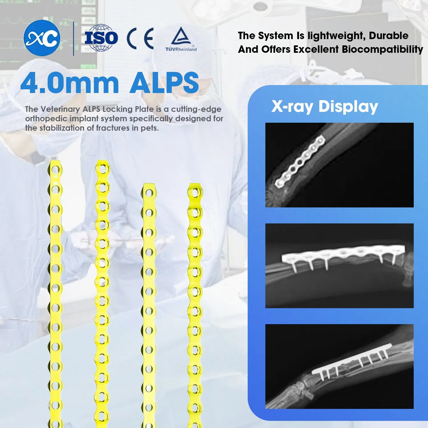 Alps 4.0 mm Implants Veterinary Orthopedic Implants Titanium Implants