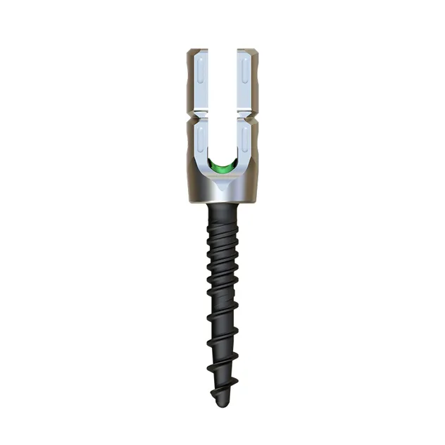 Spinal Fixation System 2