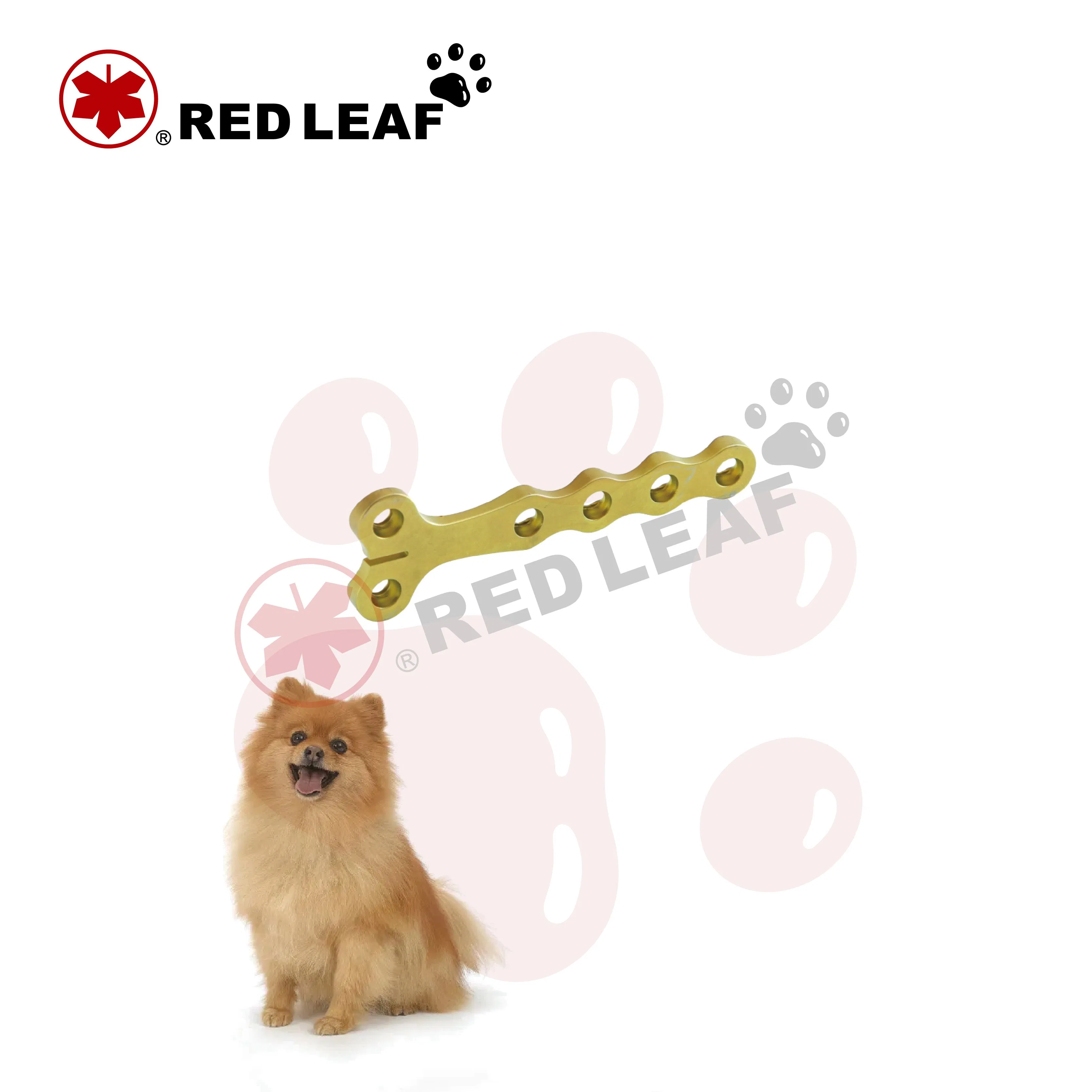 Redleaf Pet Series Alps™-L Veterinary Implant Instrument Set for Small Animal Orthopedic Surgery