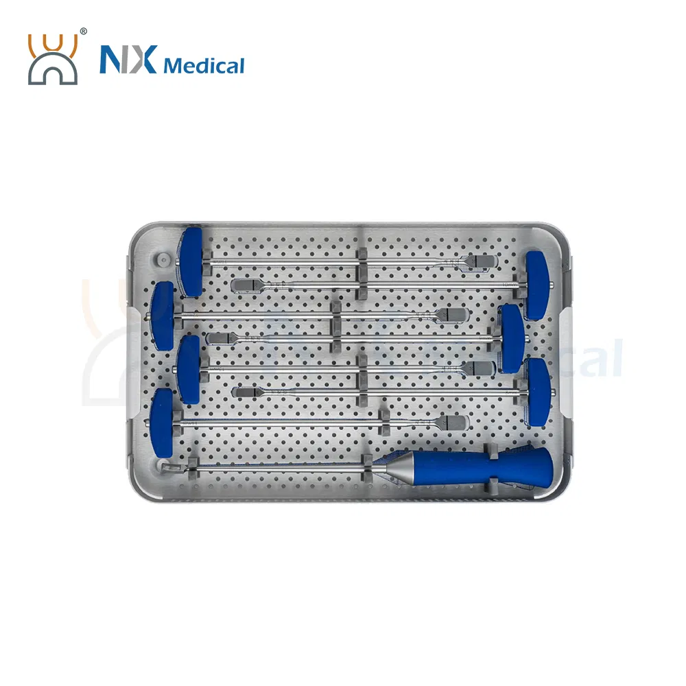 Nx Medical OEM/ODM Support Orthopedic Implant Lumbar Cage System for Bone Fixation