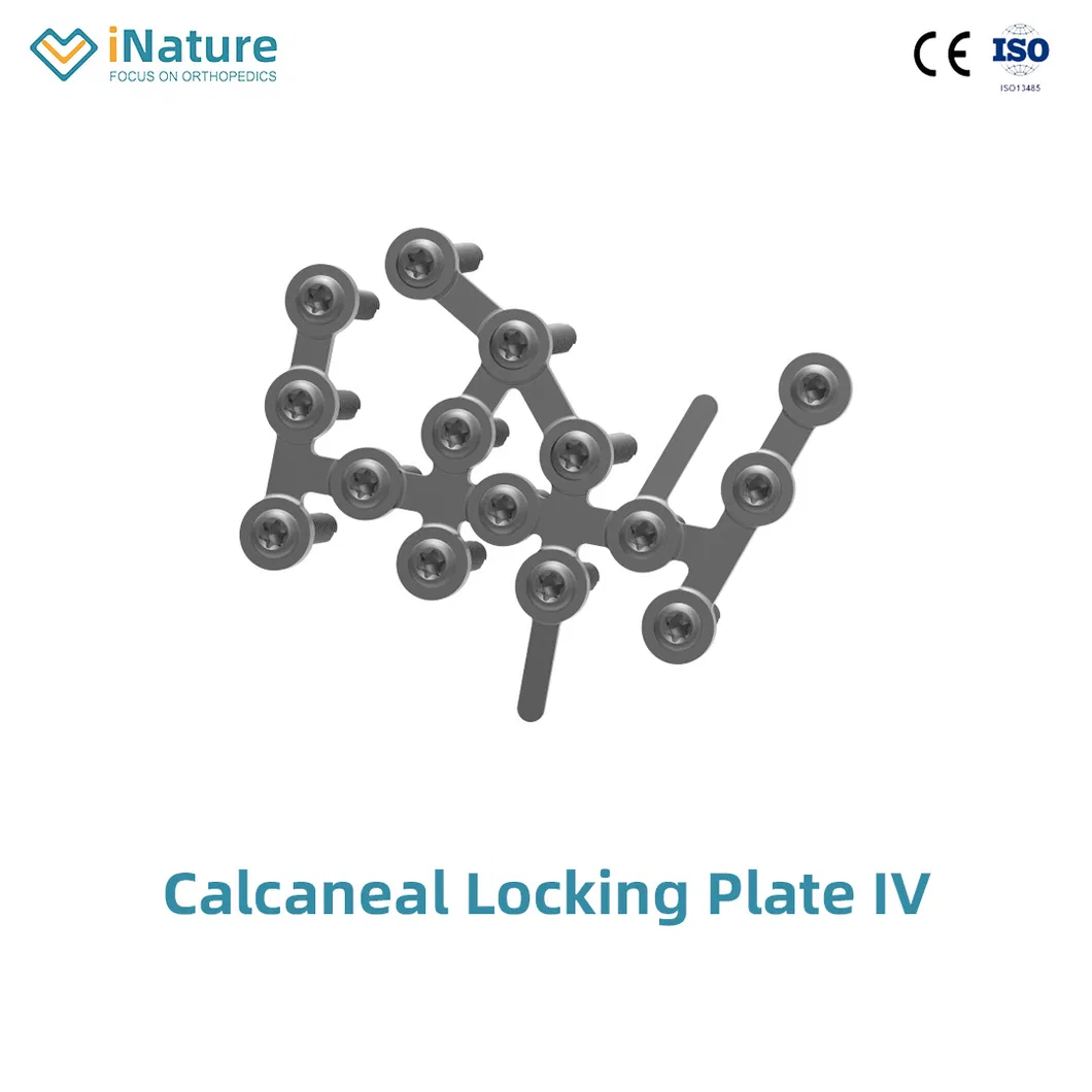 Foot and Ankle Calcaneal Locking Plate