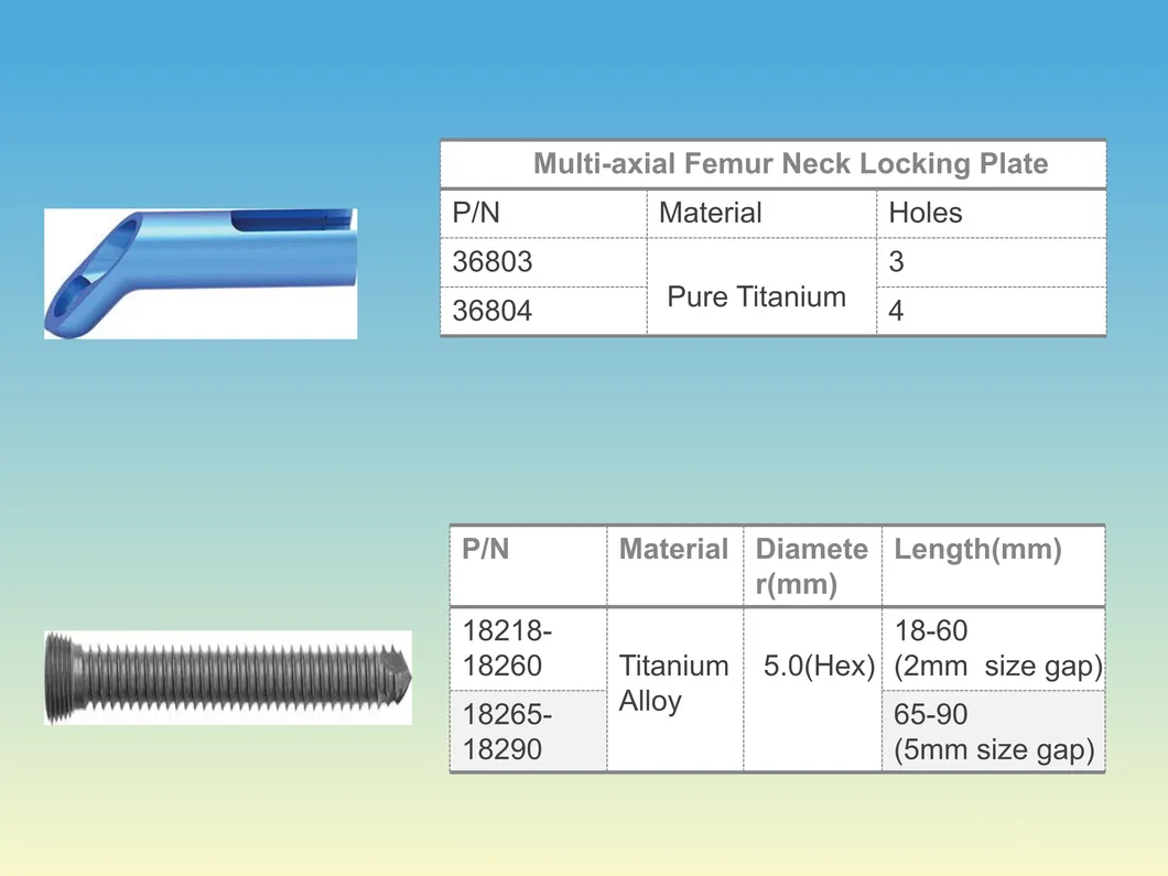 Dynamic Cross Screw System 2