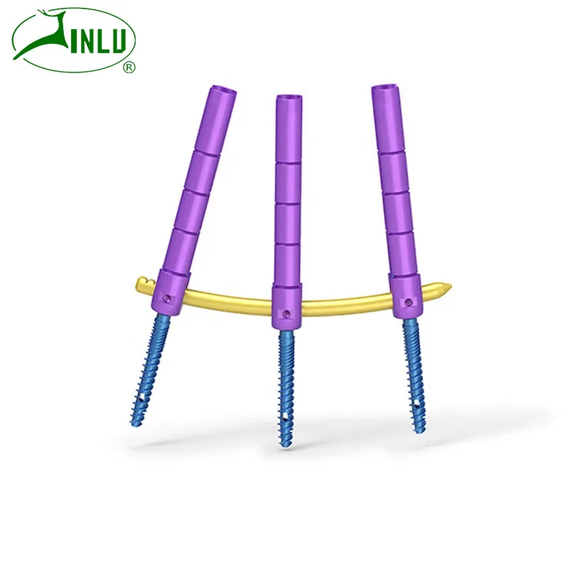 Orthopedic Implant Minimally Invasive Spine System