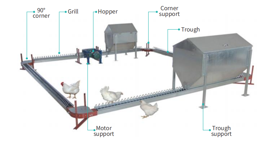 Premium Plastic Poultry Floor System for Chicken Breeders