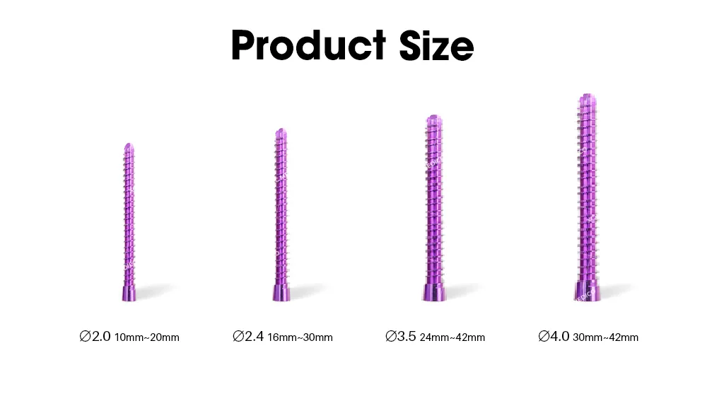 Locking & Conic Screws