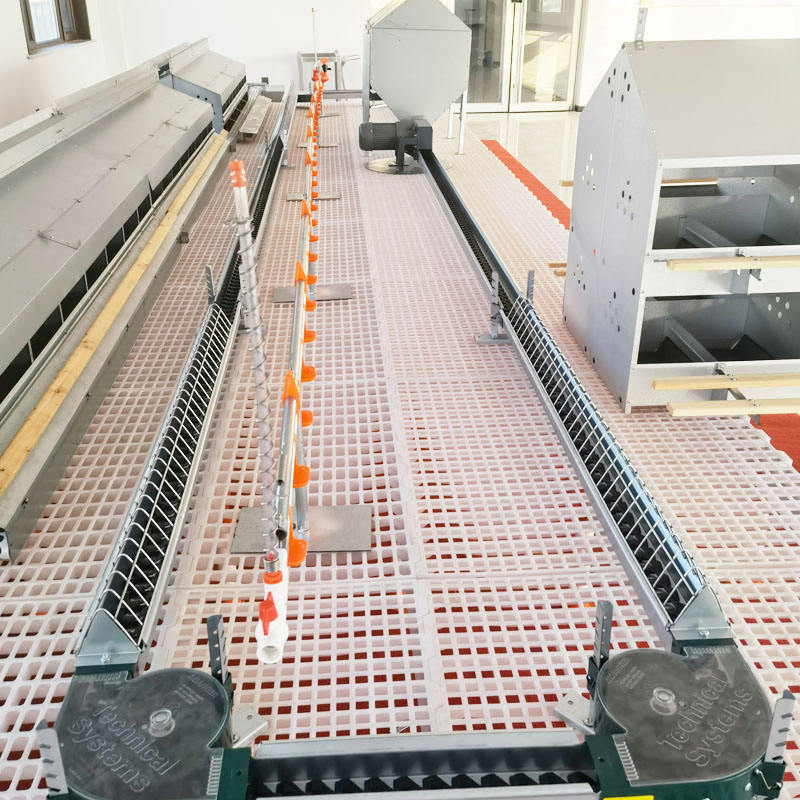 Premium Plastic Poultry Floor System for Chicken Breeders