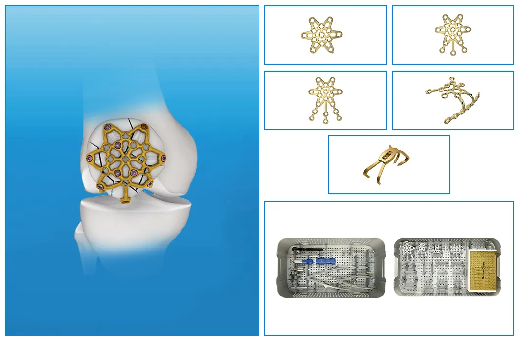 Clinical Application