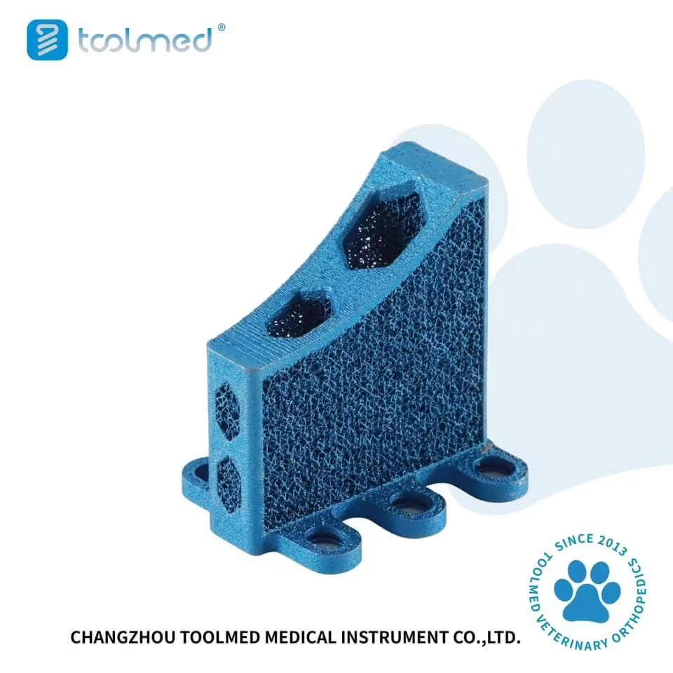 Veterinary Orthopedic 3D Printing Tta Cage Titanium Implants for Animal Tibial Surgery