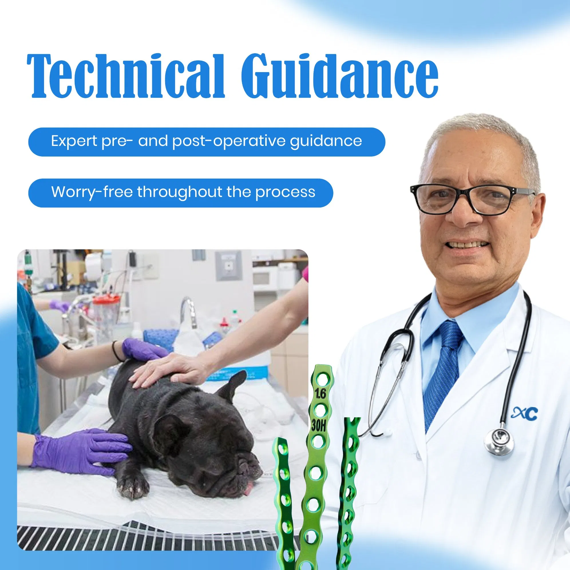 Factory Price Surgical Medical Pet Animals Orthopedic Veterinary Implants