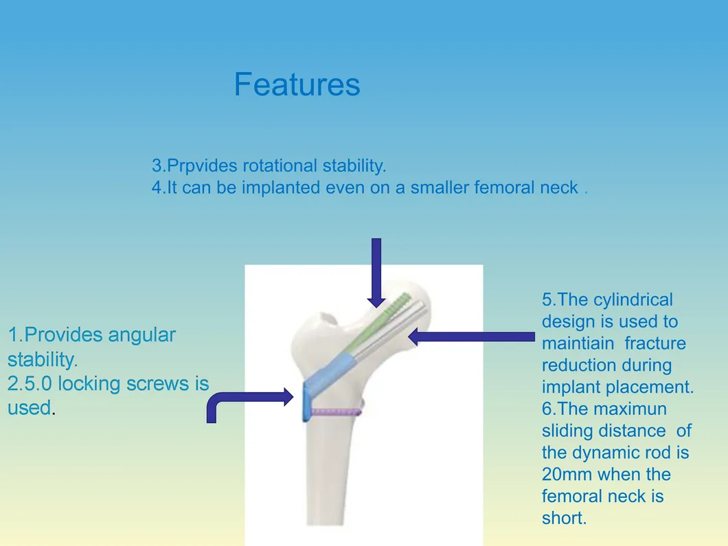 Dynamic Cross Screw System 1