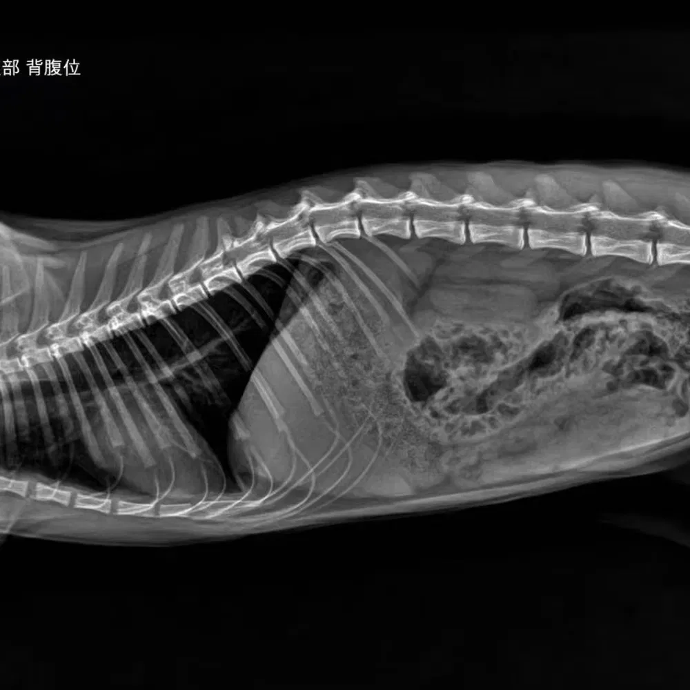 Advanced Imaging X-ray System 4