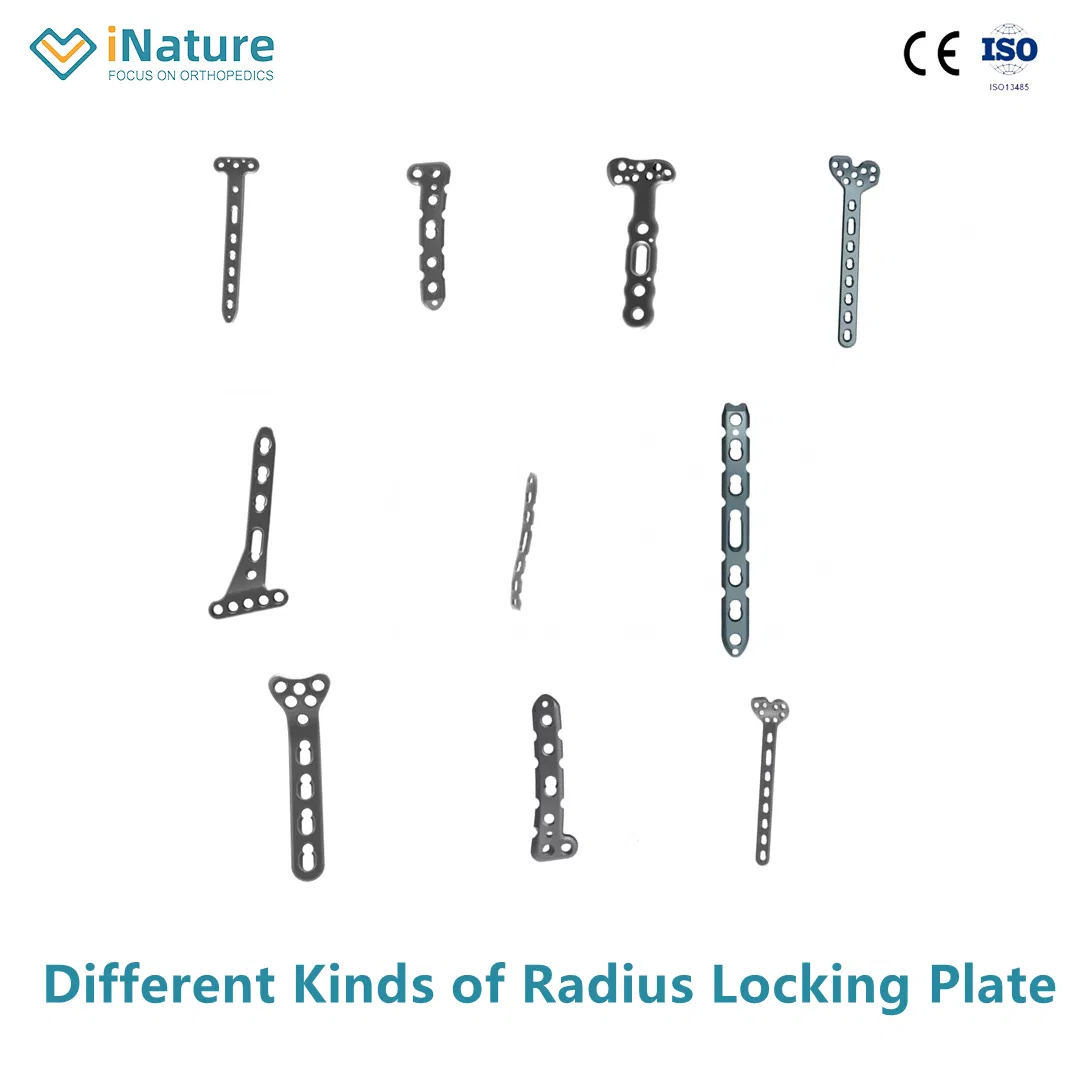 Medical Orthopedic Distal Radius Lateral Locking Plate System