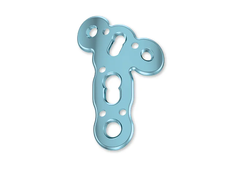 Titanium Screw Implant System