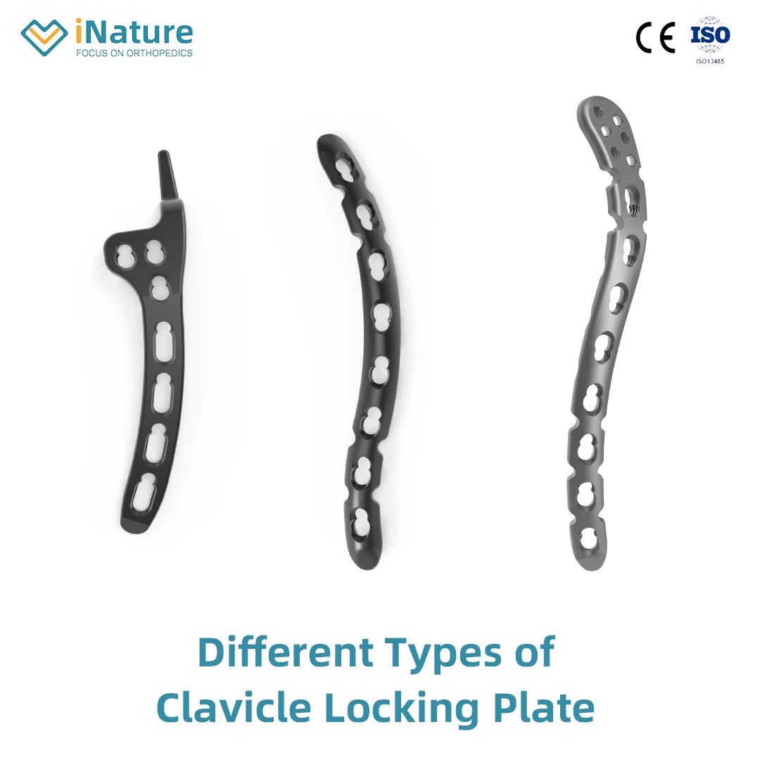 Orthopedic Implant Locking Plate Clavicle Plate System