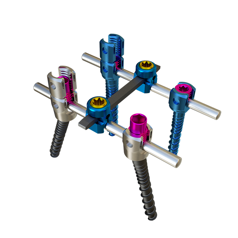 Comprehensive Growth Rods and Rigid Stabilization Fixation System