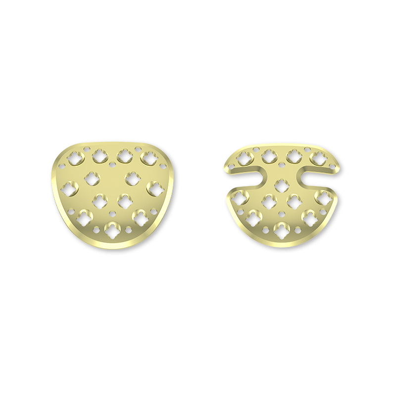 Titanium Screw and Plate Orthopedic Implant System