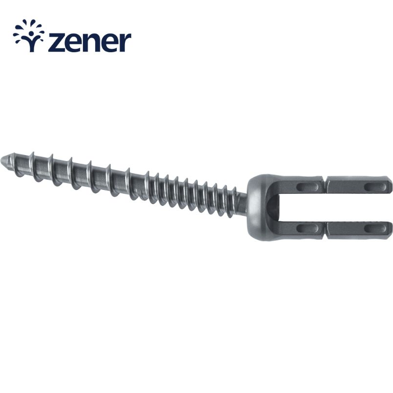 Medical Surgical Instrument Orthopedic Implant Titanium Coating New Z5 Long Poly-Axial Screw II Spinal Fixation System