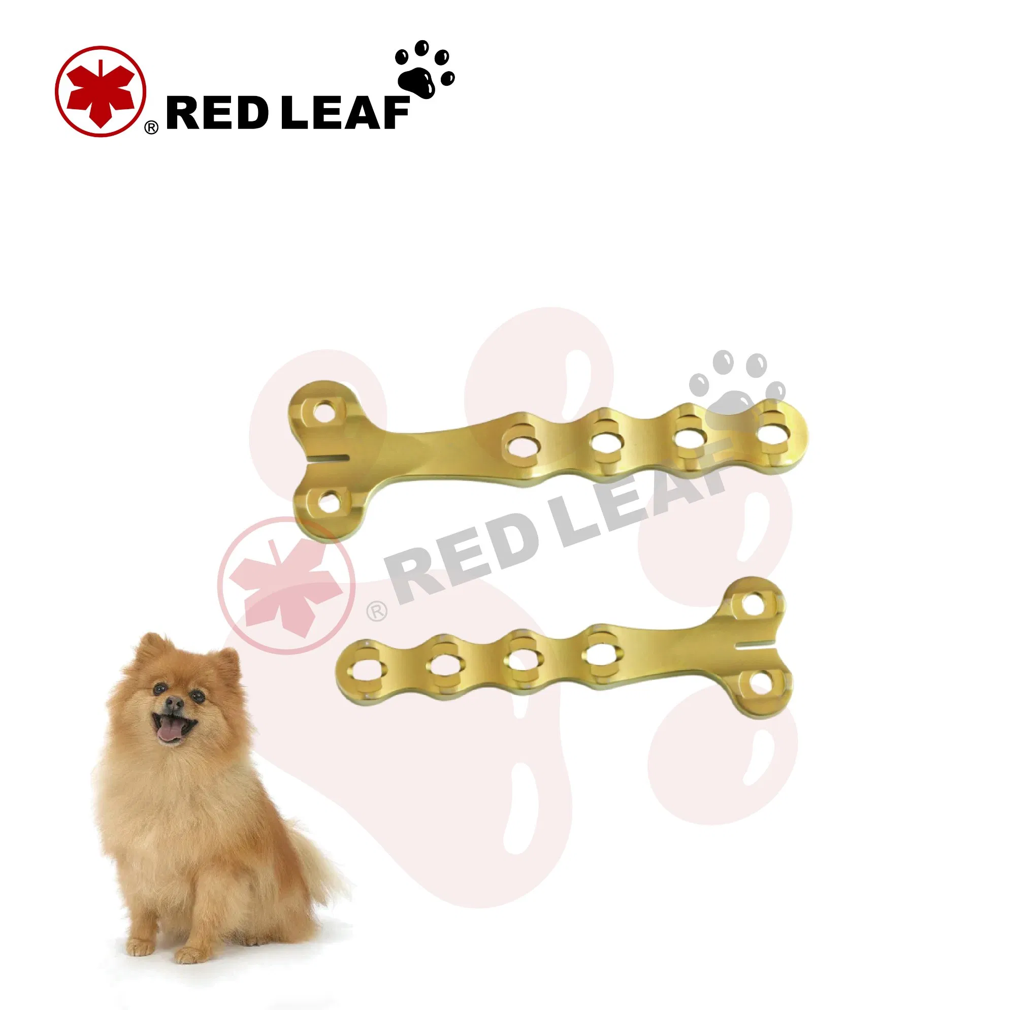 Redleaf Pet Series Alps™-L Veterinary Implant Instrument Set for Small Animal Orthopedic Surgery