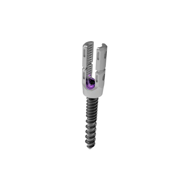 Pedicle Screw System 1