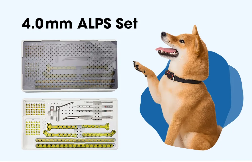 Veterinary Orthopedic Bone Implants