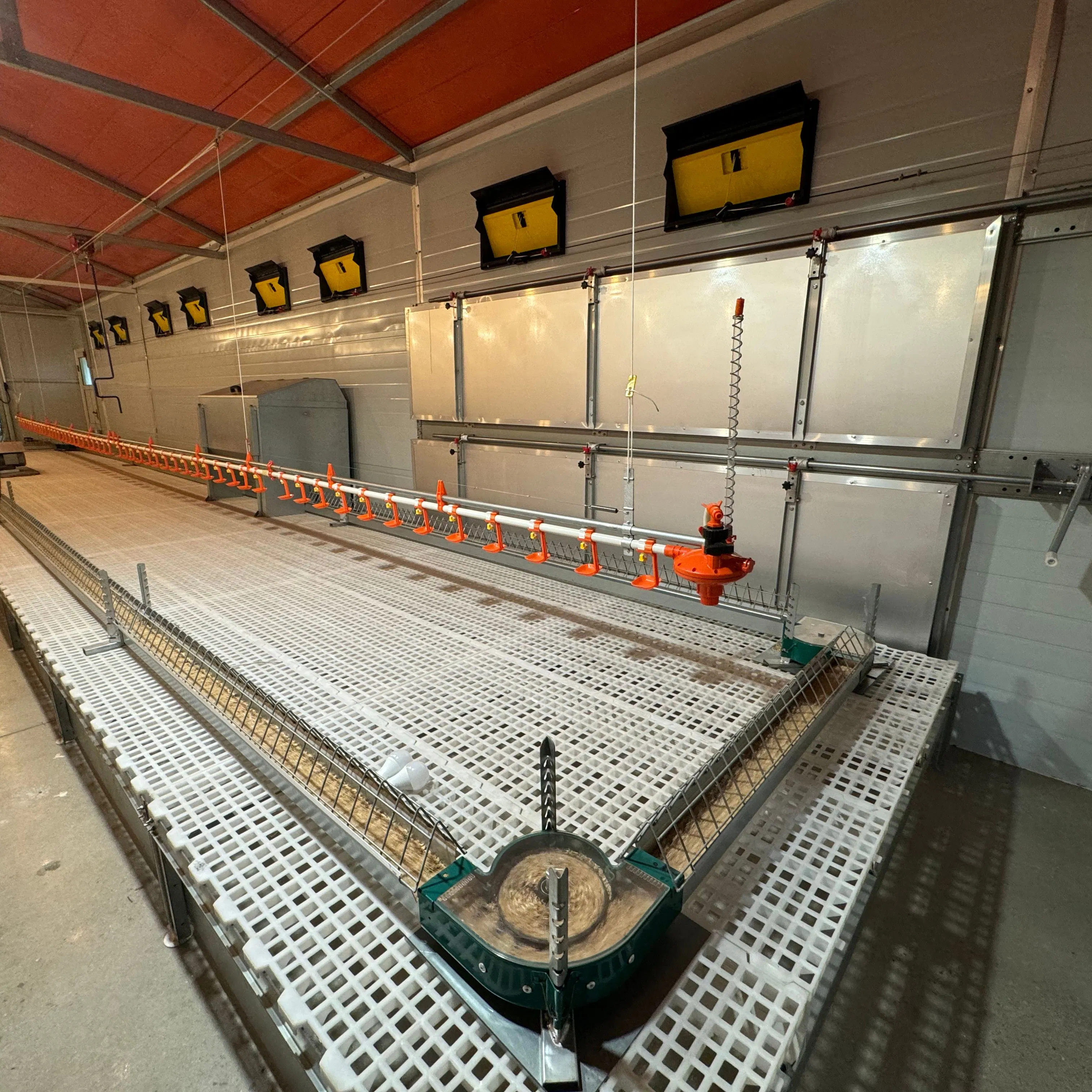 Premium Plastic Poultry Floor System for Chicken Breeders