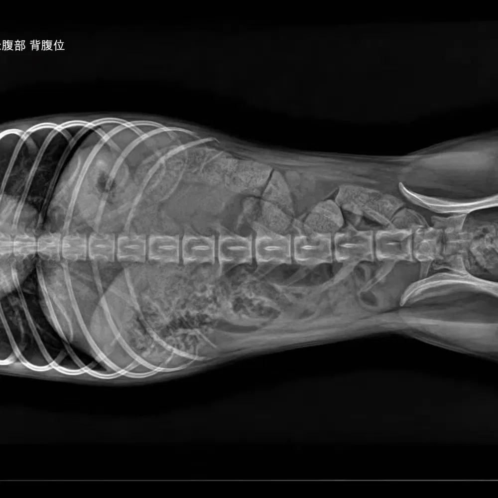 Advanced Imaging X-ray System 3
