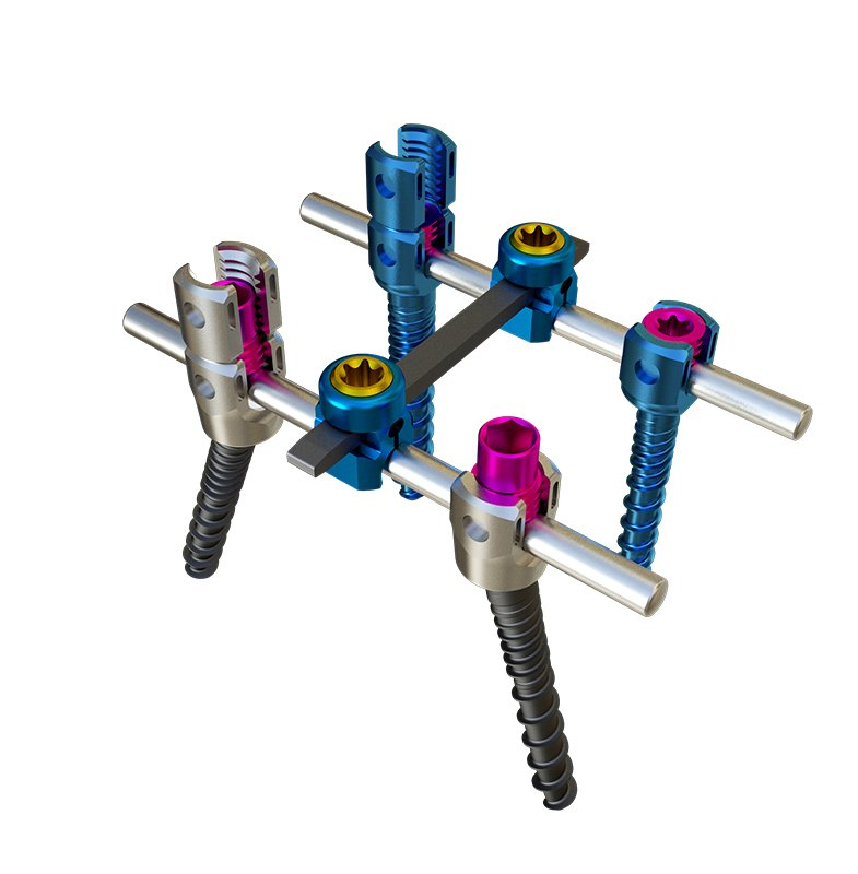 Spinal Fixation System 3