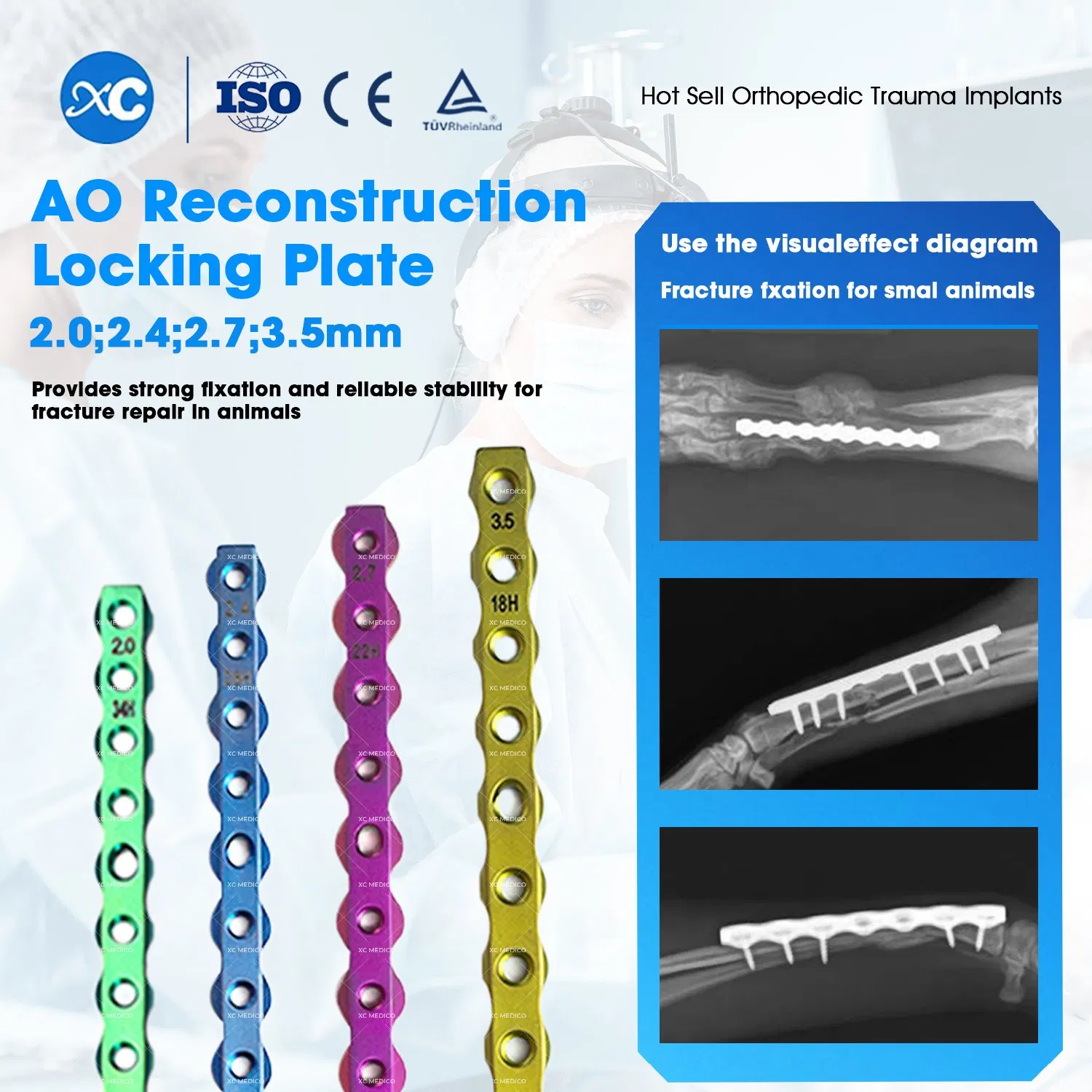 Veterinary Ao Orthopedic Reconstruction Locking Plate Implants for Fracture Fixation