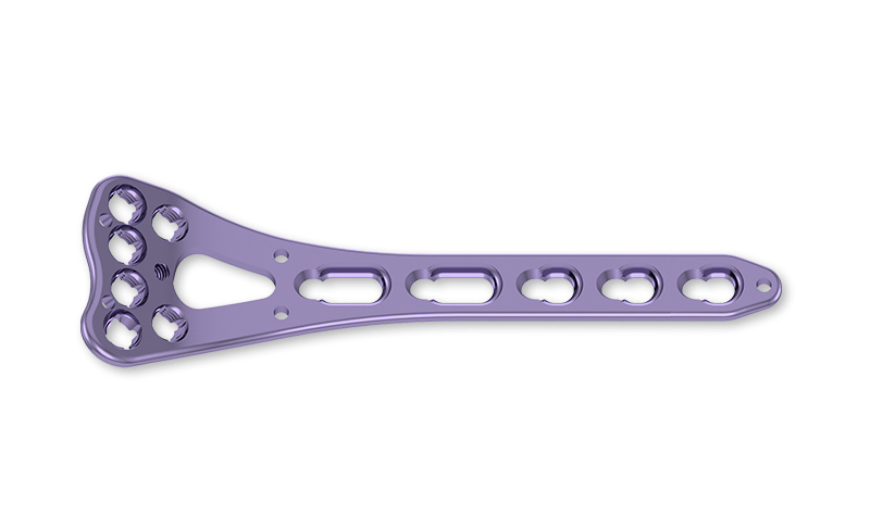 Orthopedic Locking Plate and Screw Device System