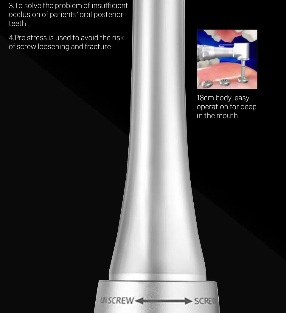 Torque Wrench View 2