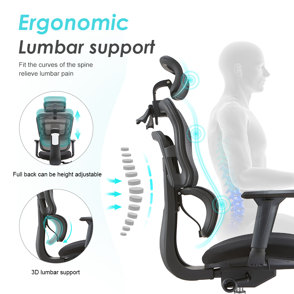China Executive Boss Chairs Swivel High Back Comfortable Mesh Ergonomic Office Chair With Lumbar Support