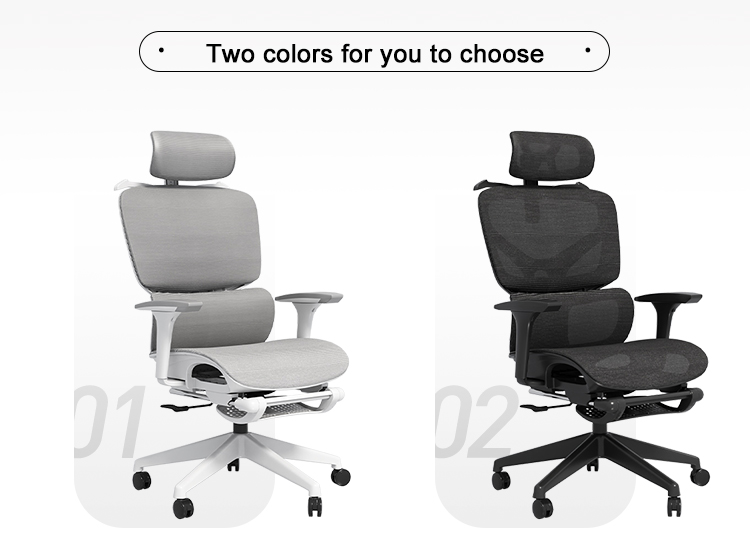 Office Chair Ergonomic Function