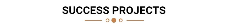 Success Projects Banner