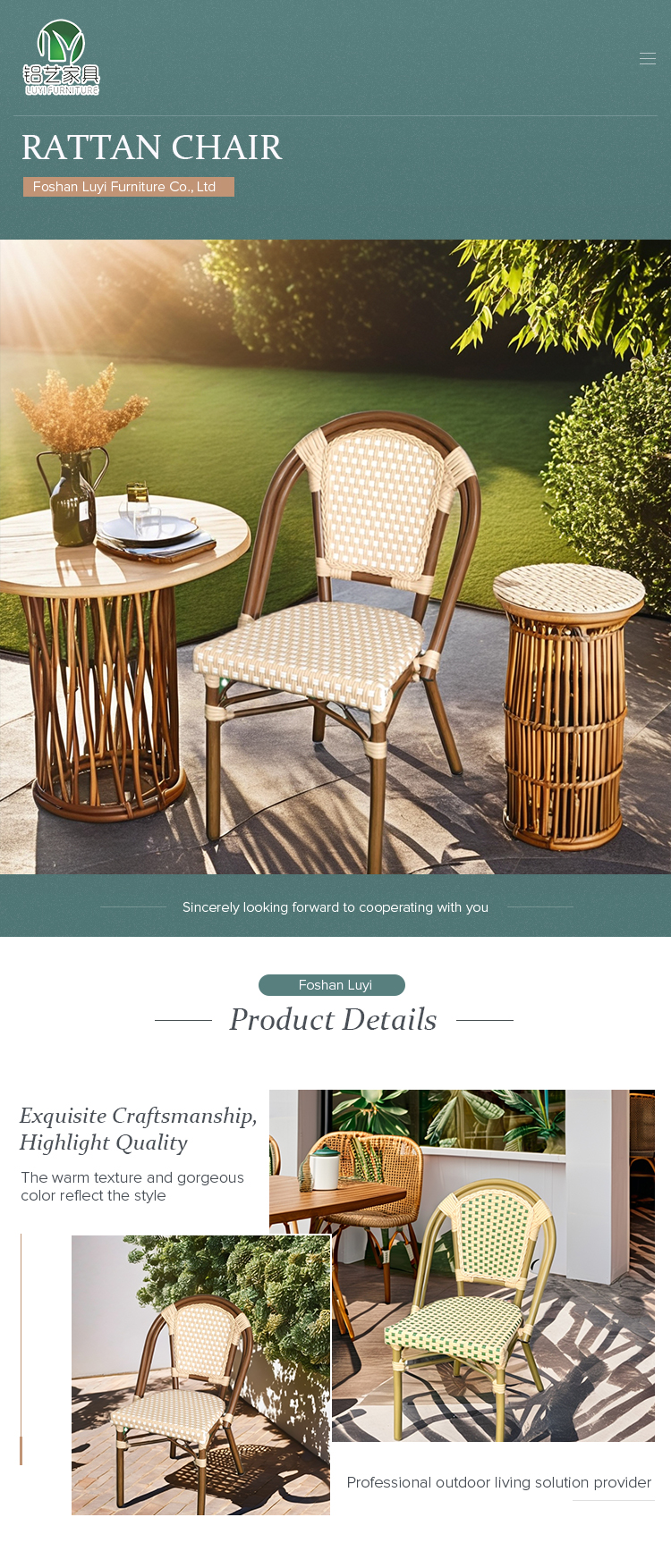 Outdoor leisure rattan chair