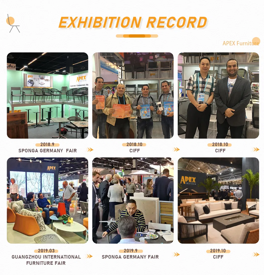Exhibition Record