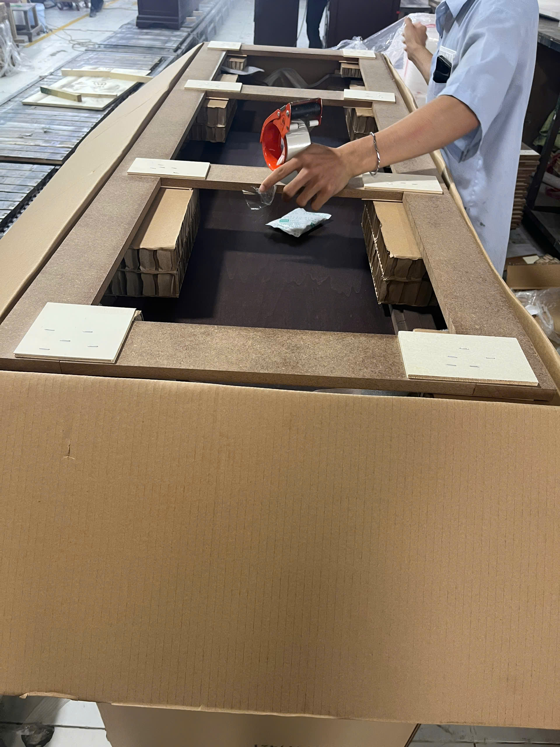 Packaging Inner Protection Detail