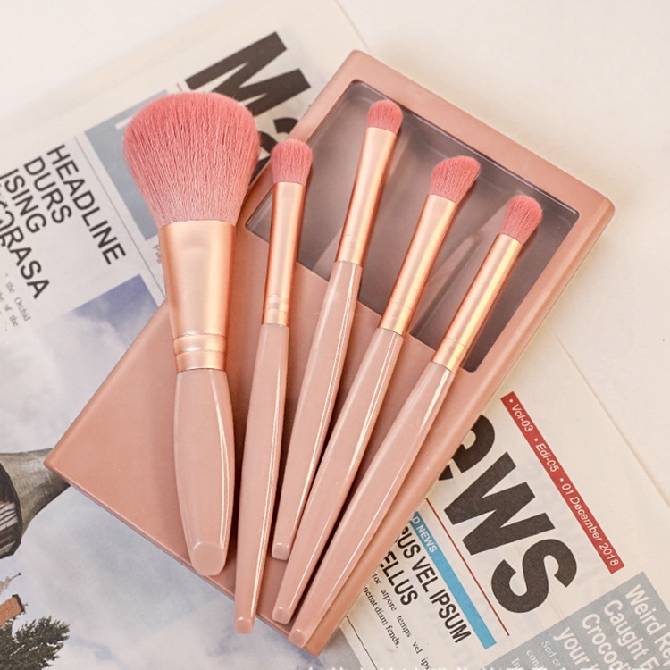 FYD Multifunctional Portable Beauty Tools 5pcs Cosmetic Brush Set with Mirror Powder and Blush Brush for Face Application