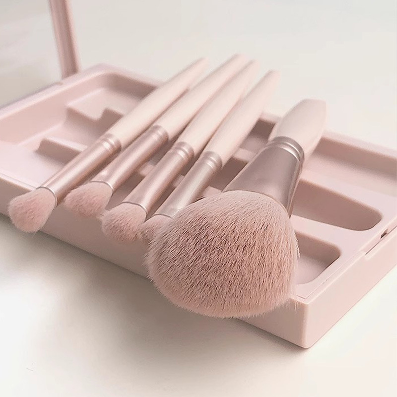 5pcs Travel Portable with Mirror Multi-function Loose pink Brushes Set Professional Beauty Tools Brush with Package