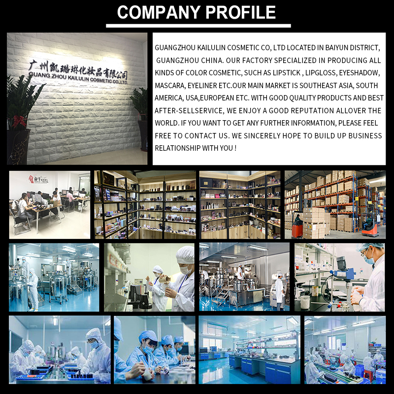 Factory Overview and Production Line