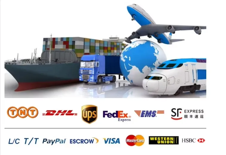 Shipping Logistics
