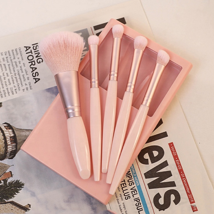 FYD Multifunctional Portable Beauty Tools 5pcs Cosmetic Brush Set with Mirror Powder and Blush Brush for Face Application
