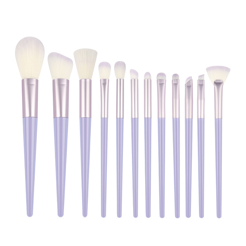 Professional 12-Piece Makeup Brush Set Facial Loose Powder Foundation Eye Shadow Applicator Concealer Blending Makeup Brush Tool